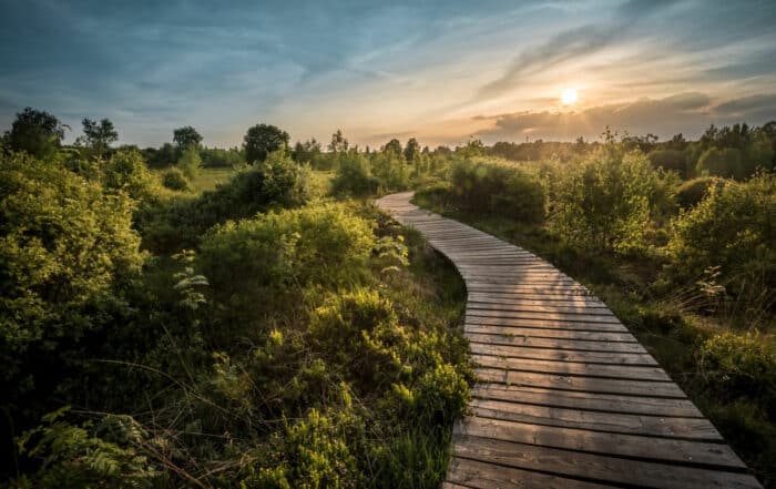 Wege und Pfade durch das Hohe Venn