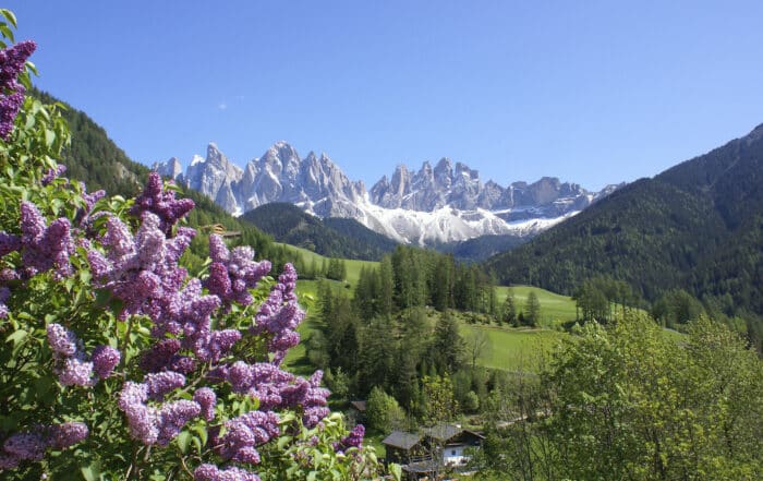 Frühling in den Dolomiten - Frühlingsurlaub in Südtirol