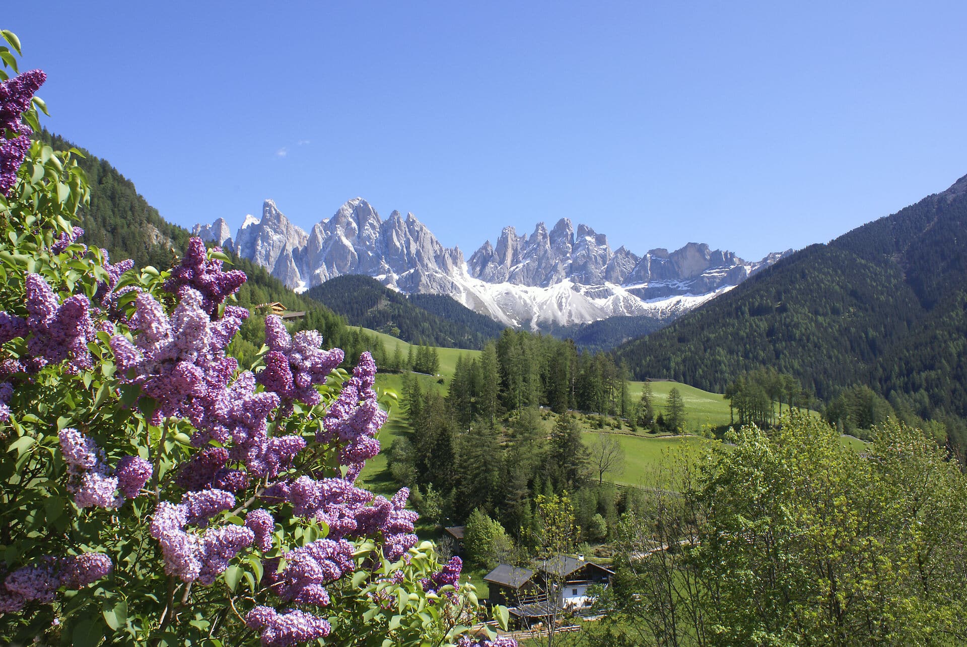 Frühling in den Dolomiten - Frühlingsurlaub in Südtirol