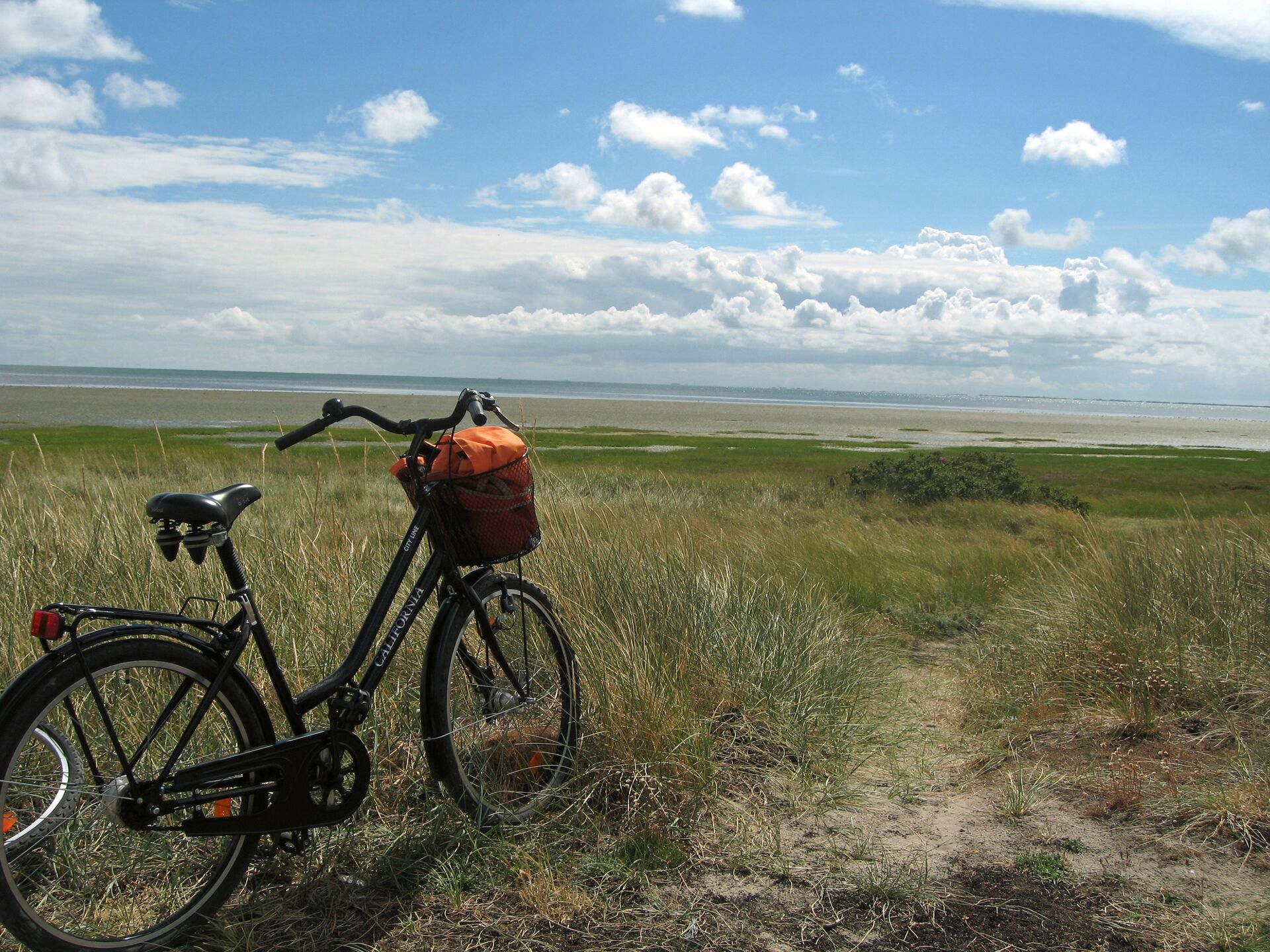 Fahrrad auf Sylt mit Blick aufs Wattenmeer