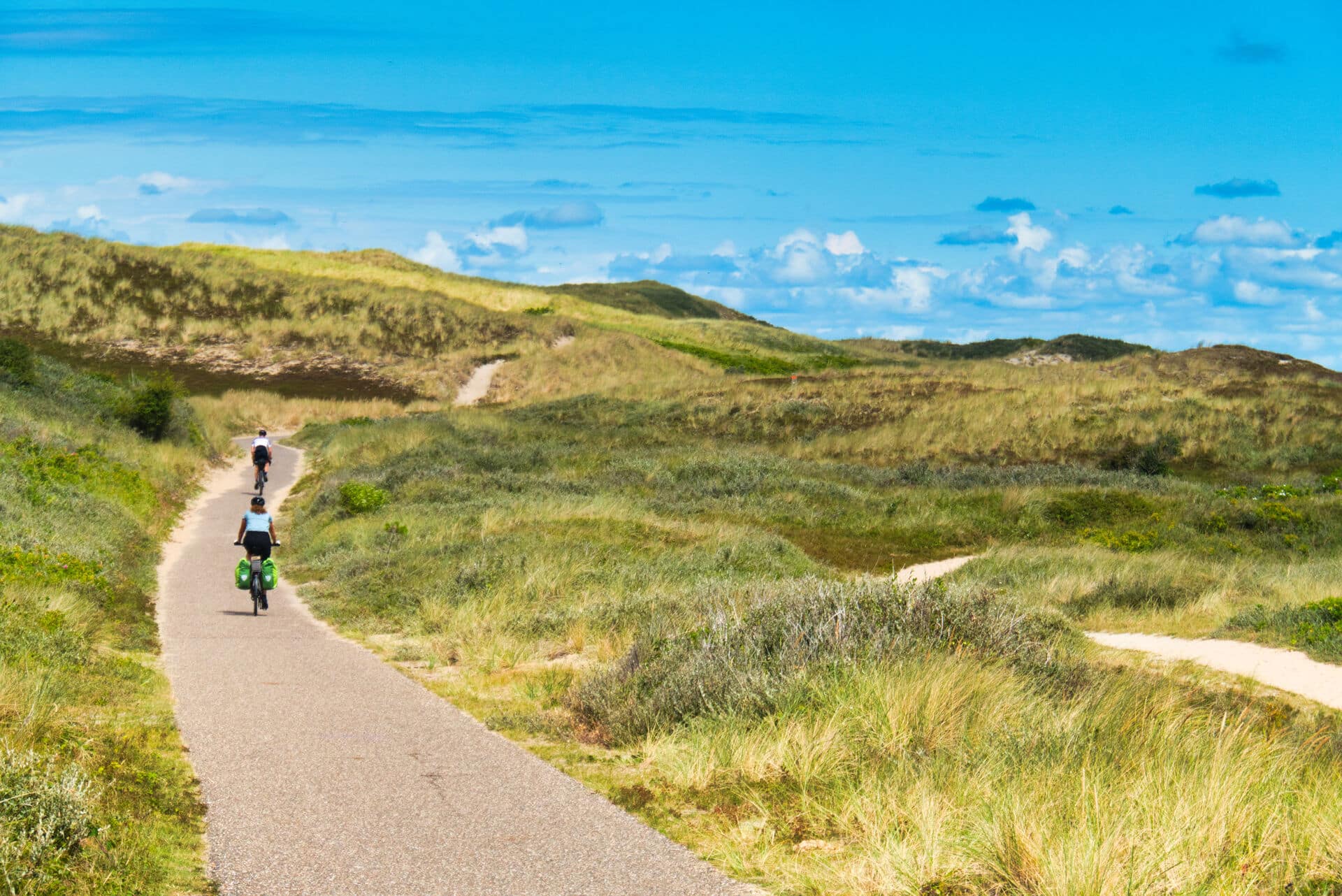 2 Radfahrer auf Radweg über Dünenlandschaft im Sommer