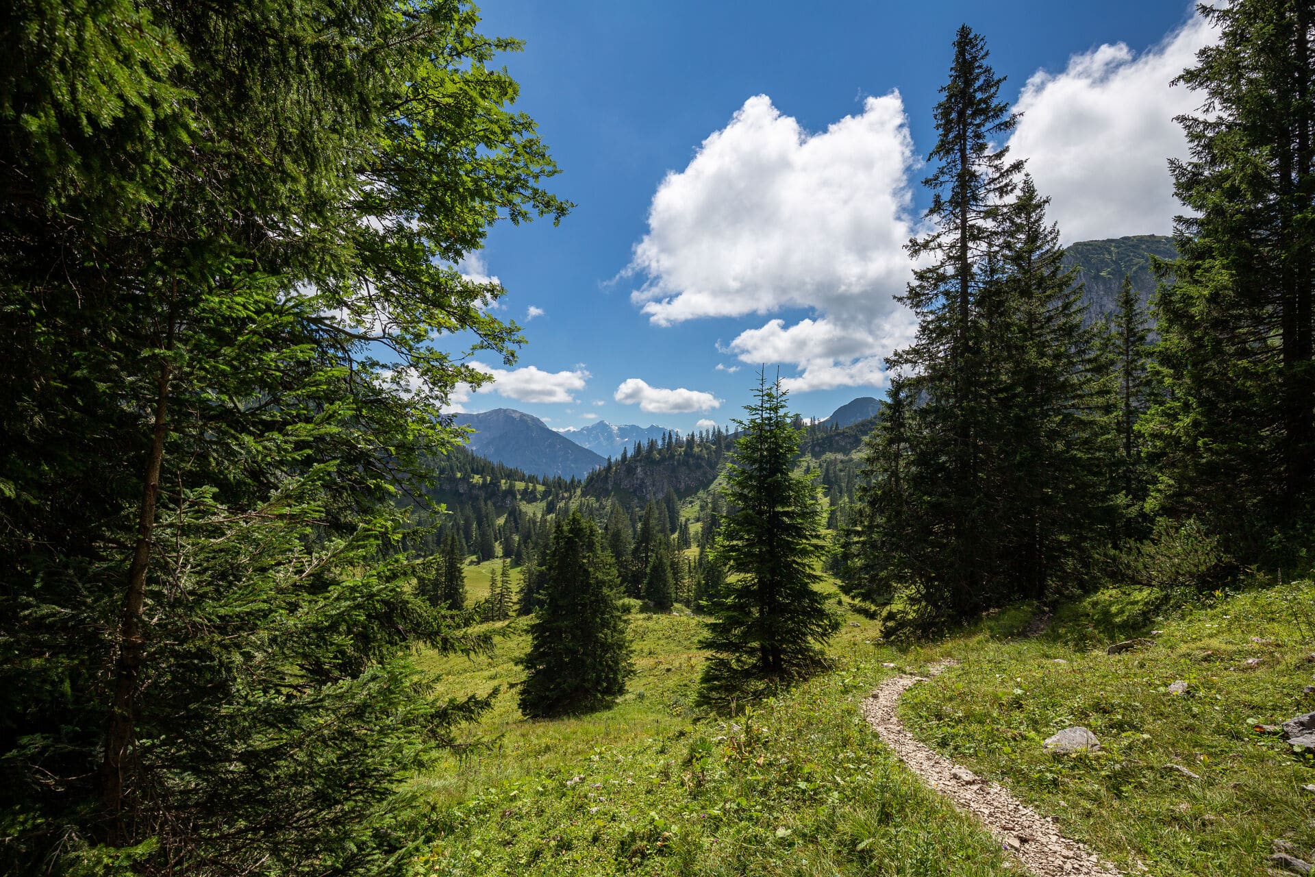 Wanderweg in den Ammergauer Alpen