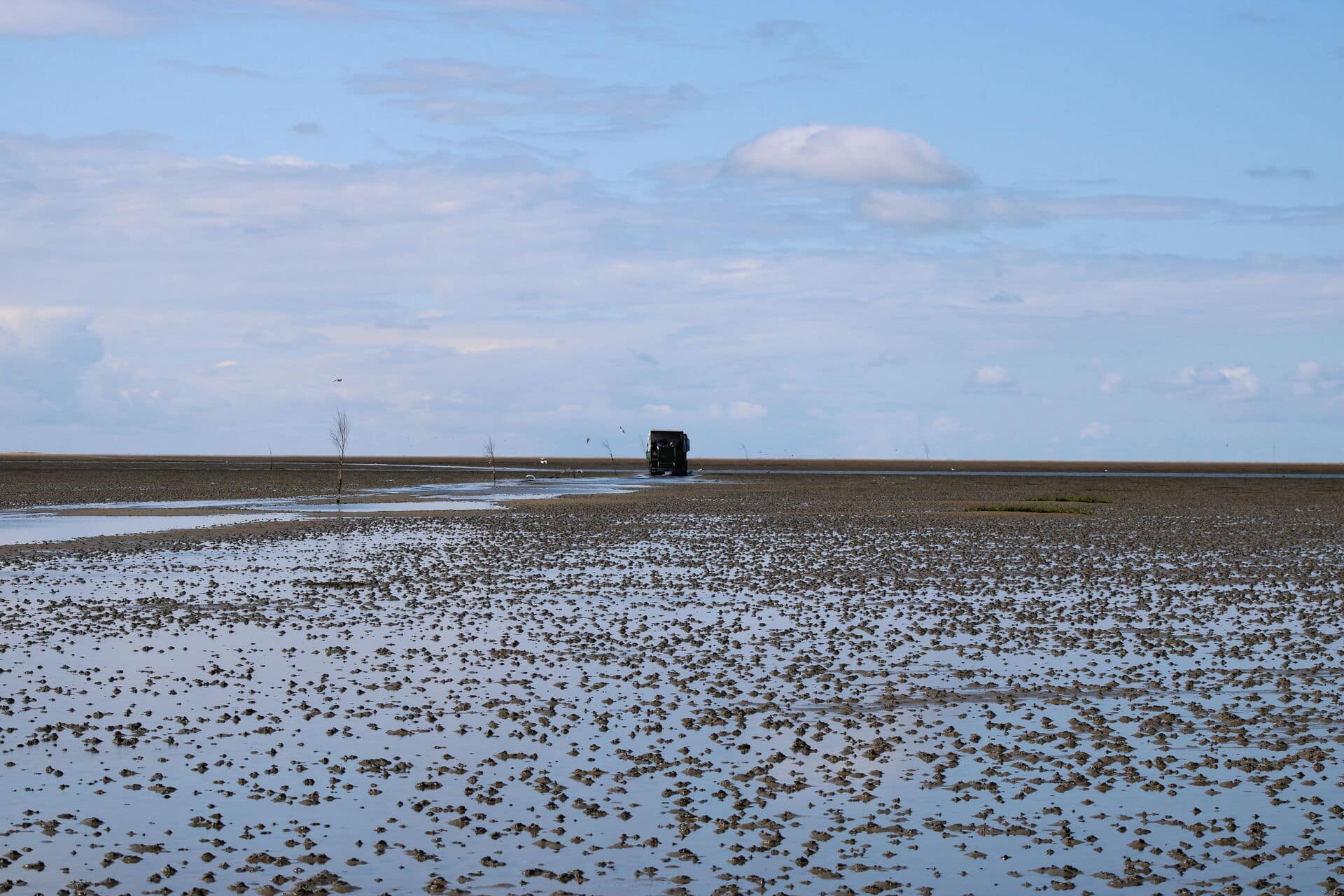 Traktor im Wattenmeer bi Mando