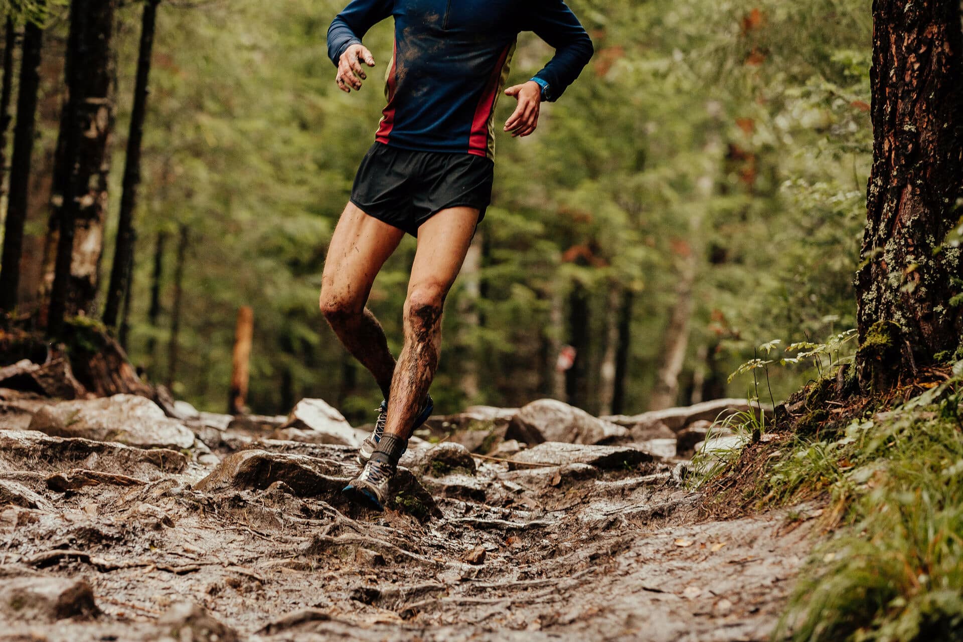 Trailrunner auf Waldpfad bergab