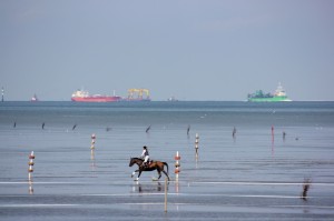 Duhner Wattrennen an der Nordsee