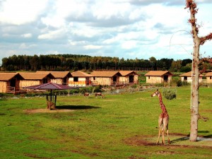 Masai Mara Lodges